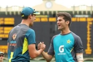 who is best starc or shaheen