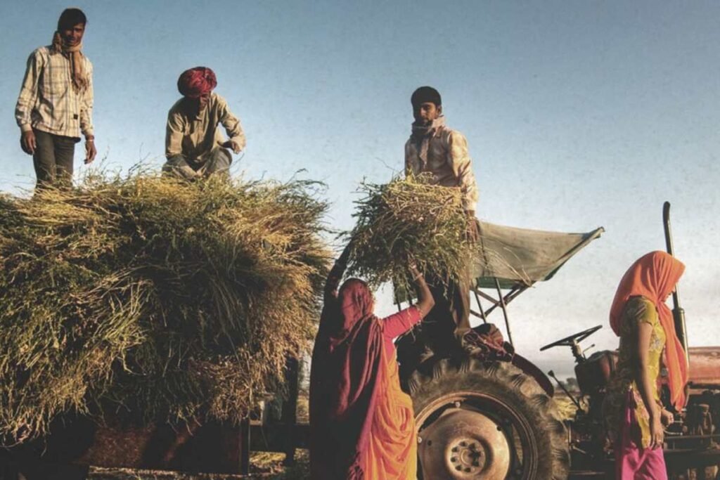 What is the religion of Chaudhary